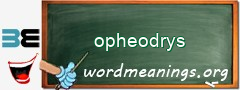 WordMeaning blackboard for opheodrys